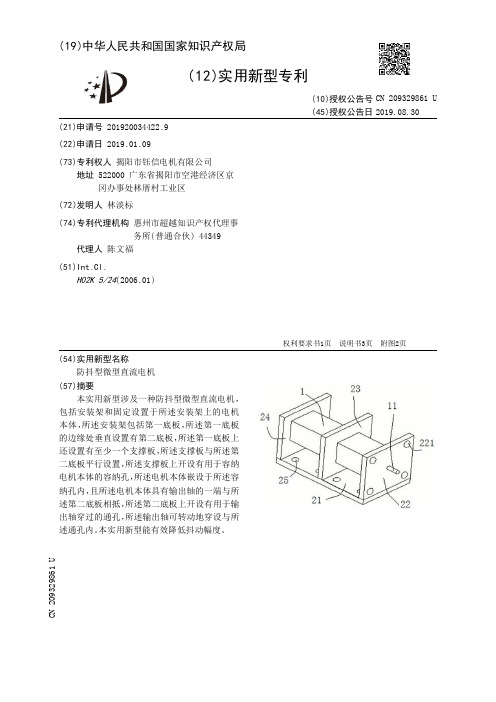 【CN209329861U】防抖型微型直流电机【专利】