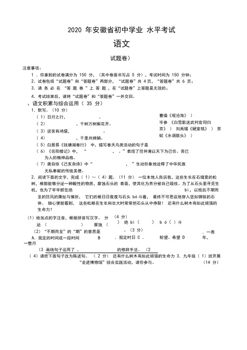 2020年安徽省中考语文试题及答案word版精校无差错