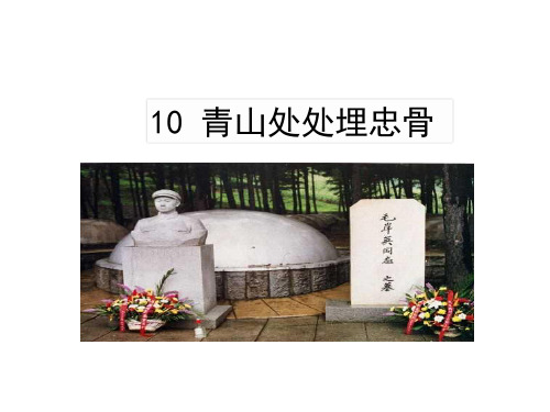 五年级下册语文课件-10.青山处处埋忠骨 人教部编版(共31张PPT)