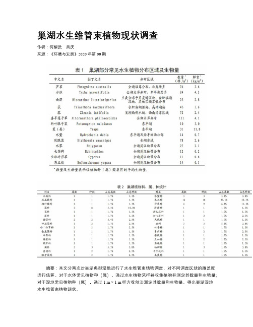 巢湖水生维管束植物现状调查