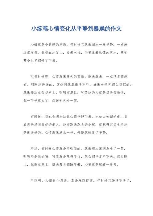 小练笔心情变化从平静到暴躁的作文