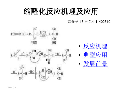 缩醛反应机理及应用.ppt