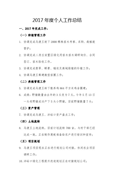 个人工作总结2017年度总结