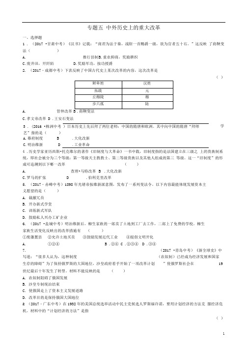 中考历史总复习专题五中外历史上的重大改革试题2