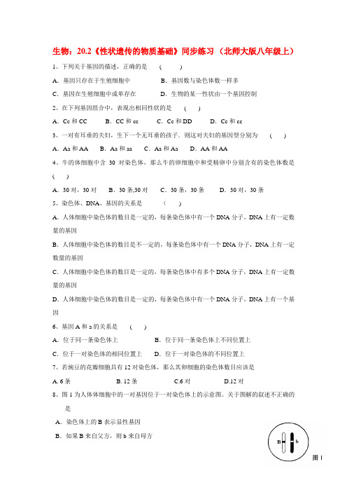 北师大版八年级生物上册20.2《性状遗传的物质基础》同步练习