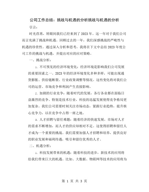 公司工作总结：挑战与机遇的分析