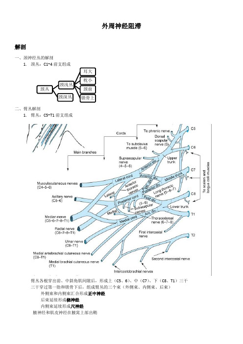 外周神经阻滞