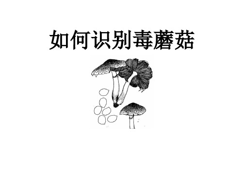 如何识别毒蘑菇