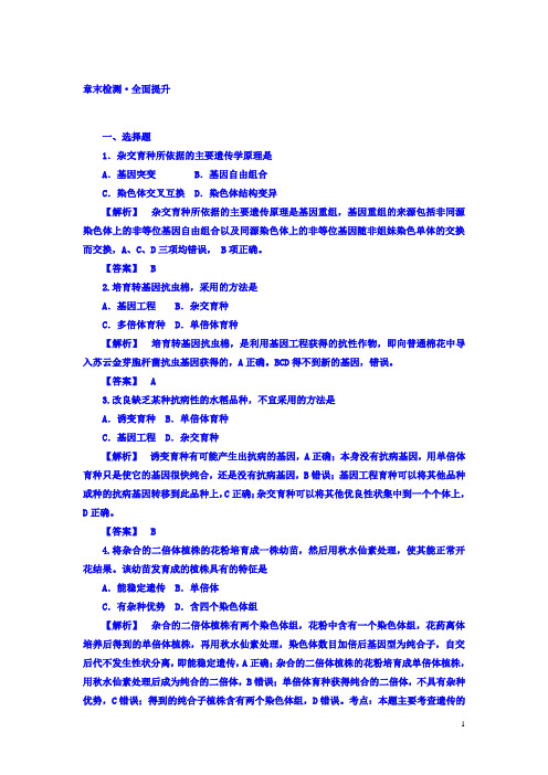 高一生物人教版必修2 章节检测： 第6章 检测：含答案