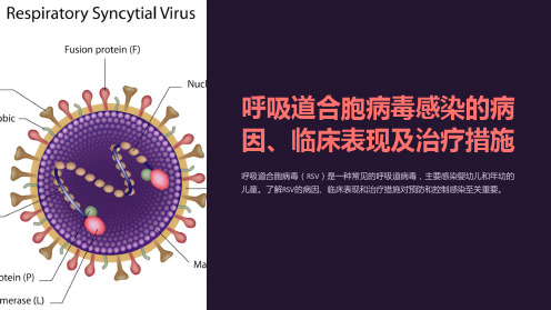 呼吸道合胞病毒感染的病因、临床表现及治疗措施