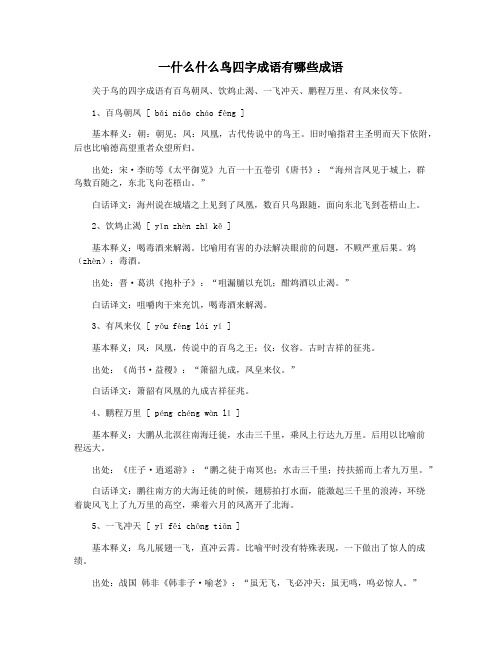 一什么什么鸟四字成语有哪些成语