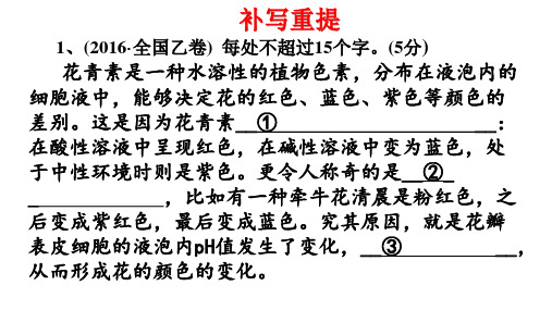 高中语文-高考语文逻辑推理题