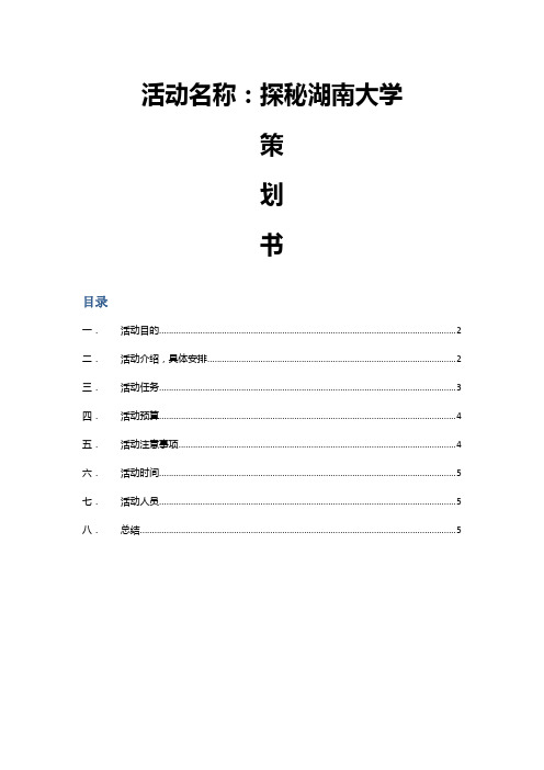 金点子策划书