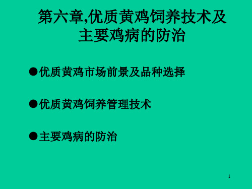 家禽生产技术优质黄鸡饲养技术及主要鸡病的防治ppt课件