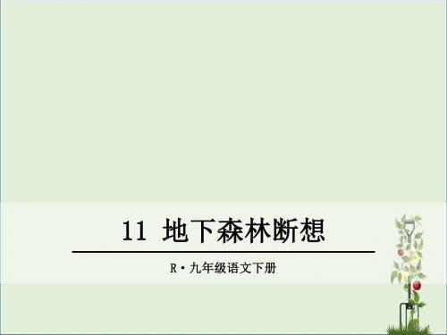 人教版九年级语文下册11.地下森林断想 教学课件