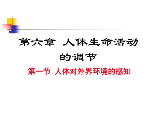 人教版生物七年级下册6.1第一节人体对外界环境的感知(共29张PPT)