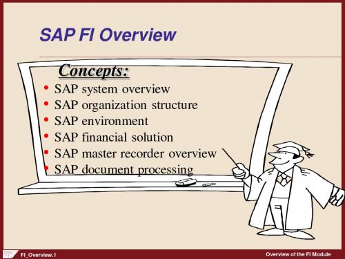 SAP-FI_Overview