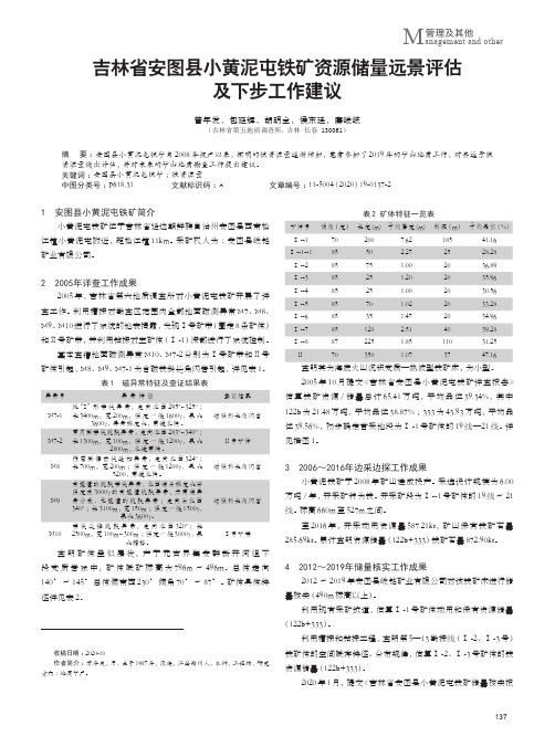 吉林省安图县小黄泥屯铁矿资源储量远景评估及下步工作建议