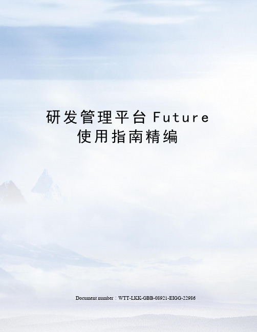 研发管理平台Future使用指南精编