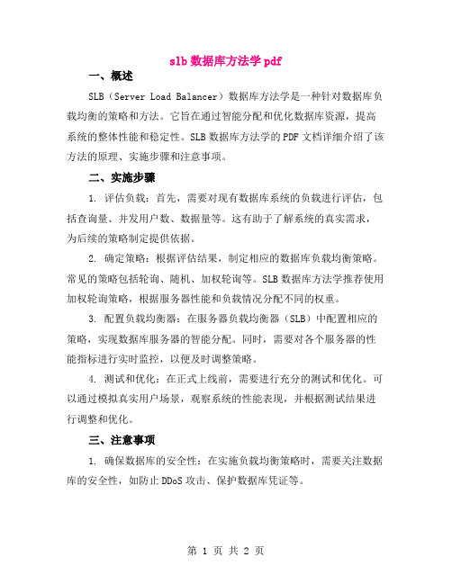 slb数据库方法学pdf