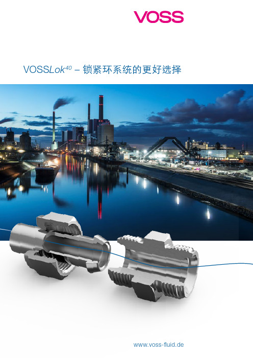 VOSSLok40–锁紧环系统的更好选择-VOSSAutomotiveGmbH