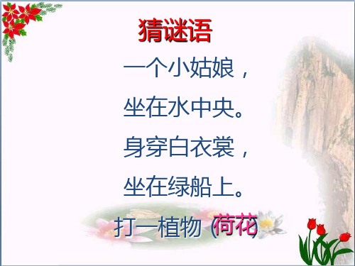 荷花 人教(部编版)PPT 优秀课件