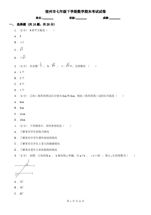 宿州市七年级下学期数学期末考试试卷