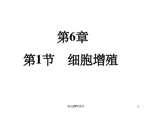 细胞增殖PPT课件PPT课件