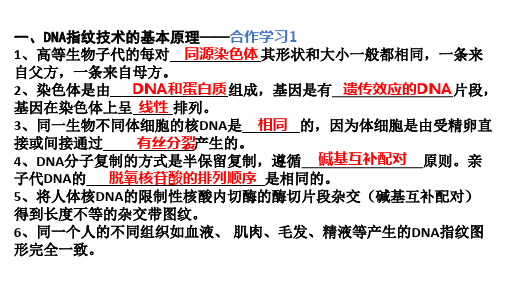 科学技术社会DNA指纹技术.pptx