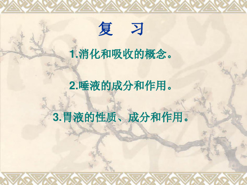 能量代谢
