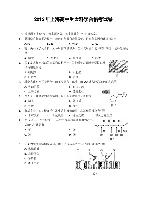 2016年上海高中生命科学合格考试卷