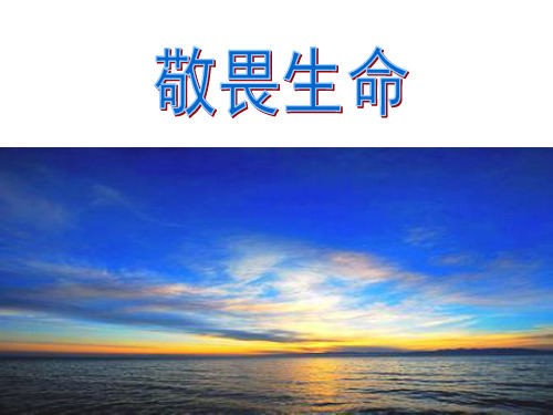 2015年6月1日21时30分隶属于重庆东方轮船公司的东方