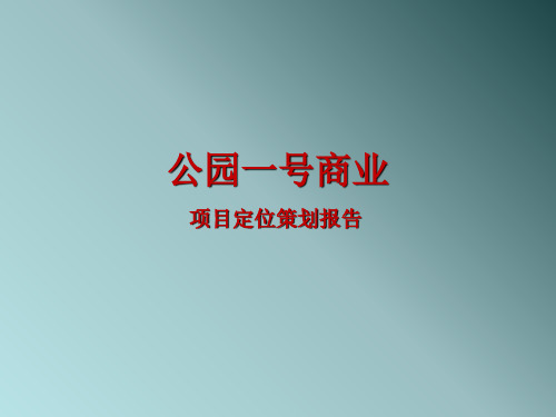 某公园商业生活社区项目定位策划报告