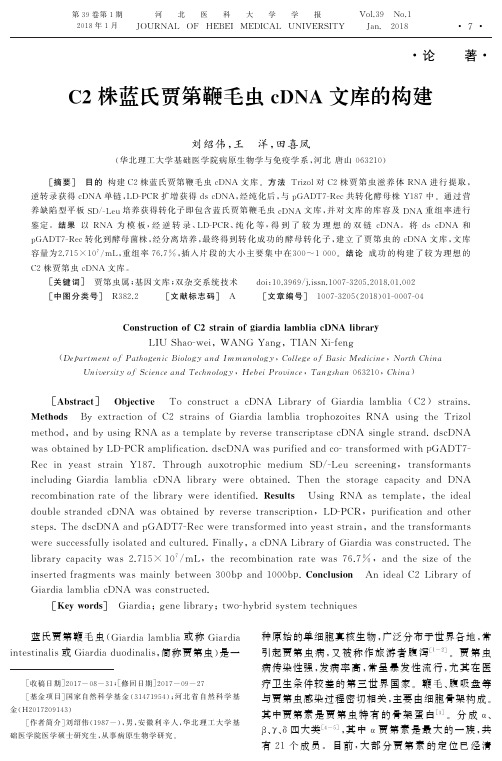 C2株蓝氏贾第鞭毛虫cDNA文库的构建