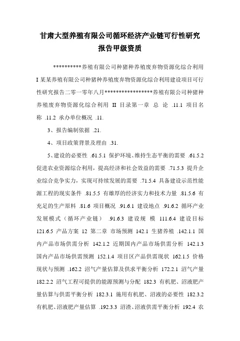 甘肃大型养殖有限公司循环经济产业链可行性研究报告甲级资质