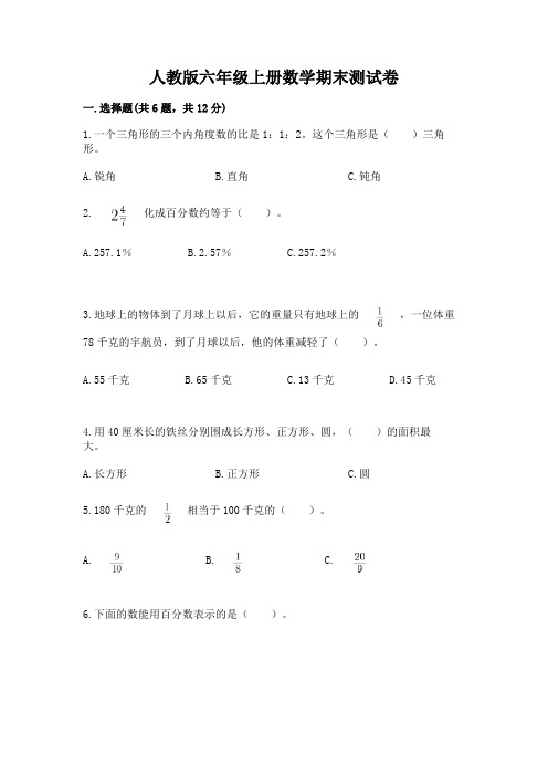 人教版六年级上册数学期末测试卷带答案(完整版)