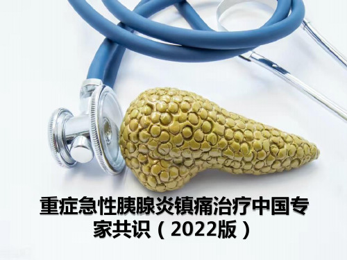 重症急性胰腺炎镇痛治疗中国专家共识(2022版)