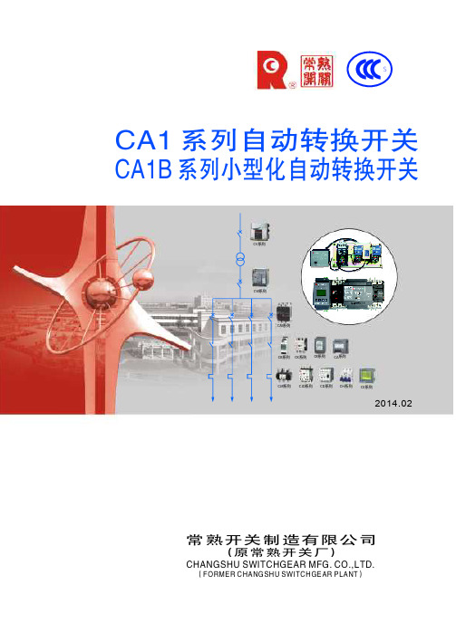 CA1双电源