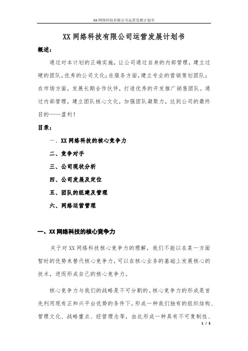 XX网络科技有限公司运营发展计划书