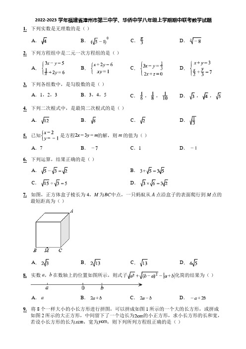 2022-2023学年福建省漳州市第三中学、华侨中学八年级上学期期中联考数学试题