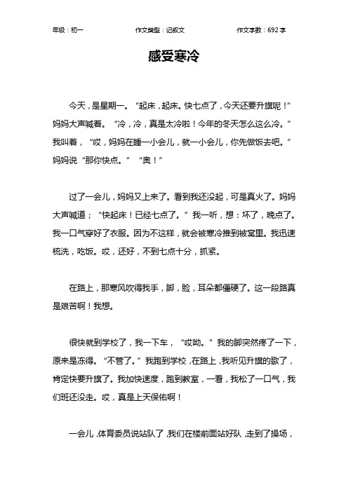 感受寒冷作文【初中初一700字】