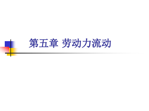 (9)劳动力流动：工作调整、工作搜寻与迁移