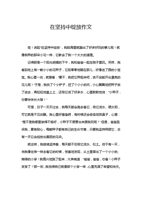 在坚持中绽放作文