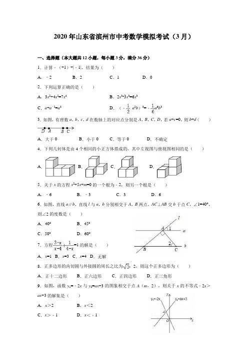 山东省滨州市2020年3月中考数学模拟考试(含解析)