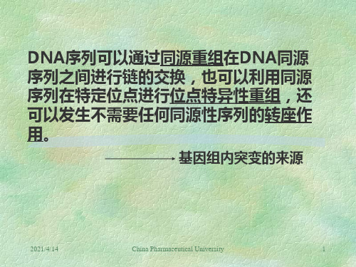 可移动的遗传因子