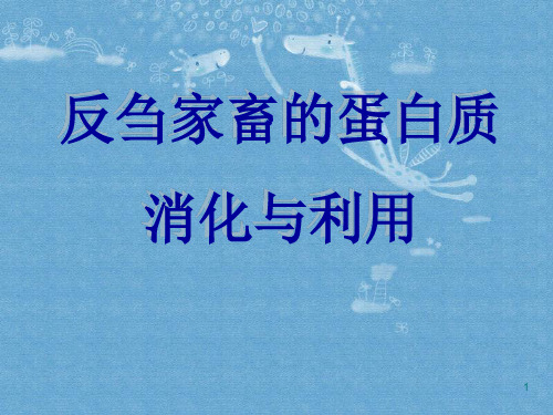 反刍家畜的蛋白质消化与利用