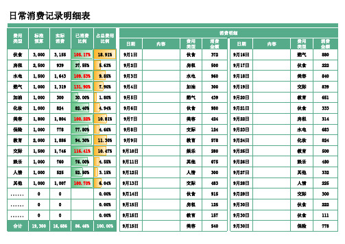 日常消费记录明细表范本