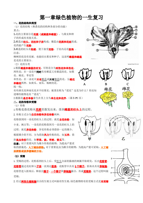 第一章绿色植物的一生复习1