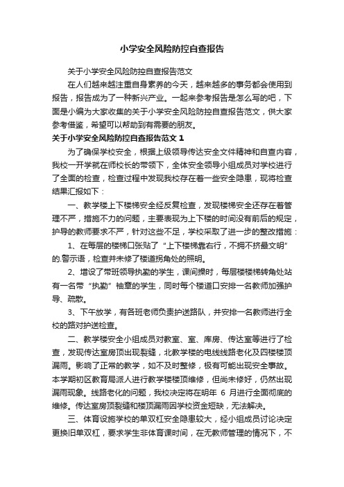 关于小学安全风险防控自查报告范文