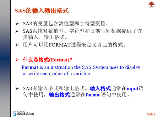 Ch4   SAS的输入输出格式-24页PPT资料